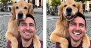 Golden Retriever prende la rincorsa per farsi un selfie col suo padrone (VIDEO)