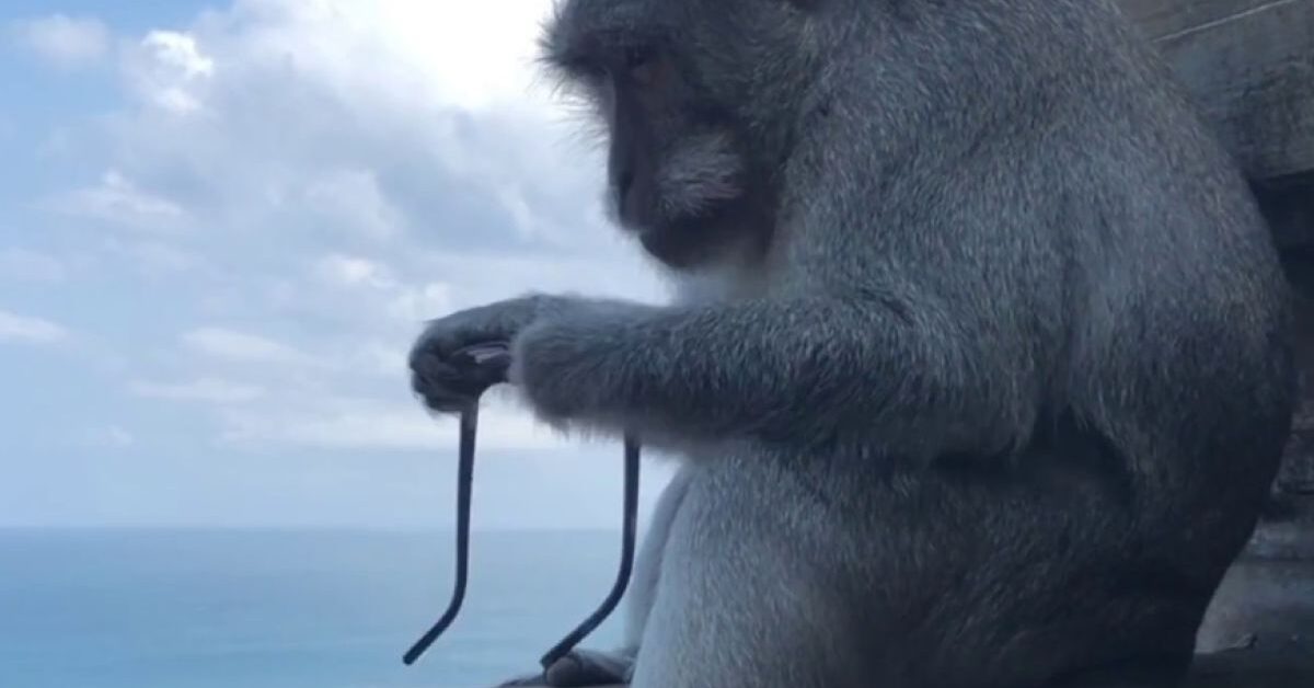 Corpo-otto Occhiali Da Lettura Clip On Blu-Lenti Blu Specchio 1,00