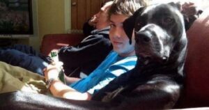 10 Foto di cani divertenti che cercano di essere proprio come delle persone