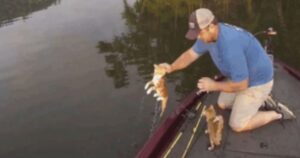 Battuta di pesca si trasforma in un sorprendente salvataggio di gattini (VIDEO)