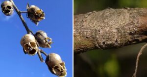 13 spaventosi scenari che la natura ci offre